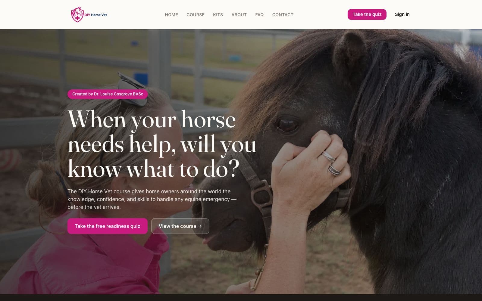 DIY Horse Vet screenshot